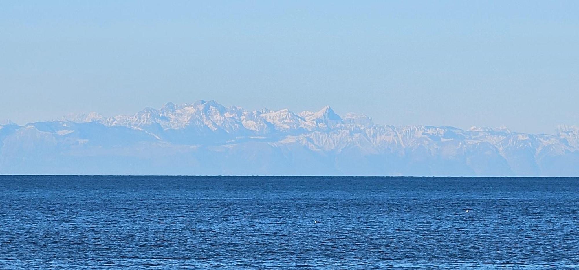 Apartmán Kadenca Umag